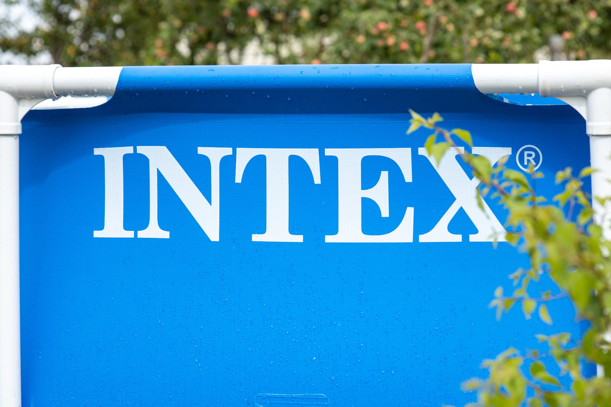 Bazeni Intex za popestritev domačega vrta v poletnem času