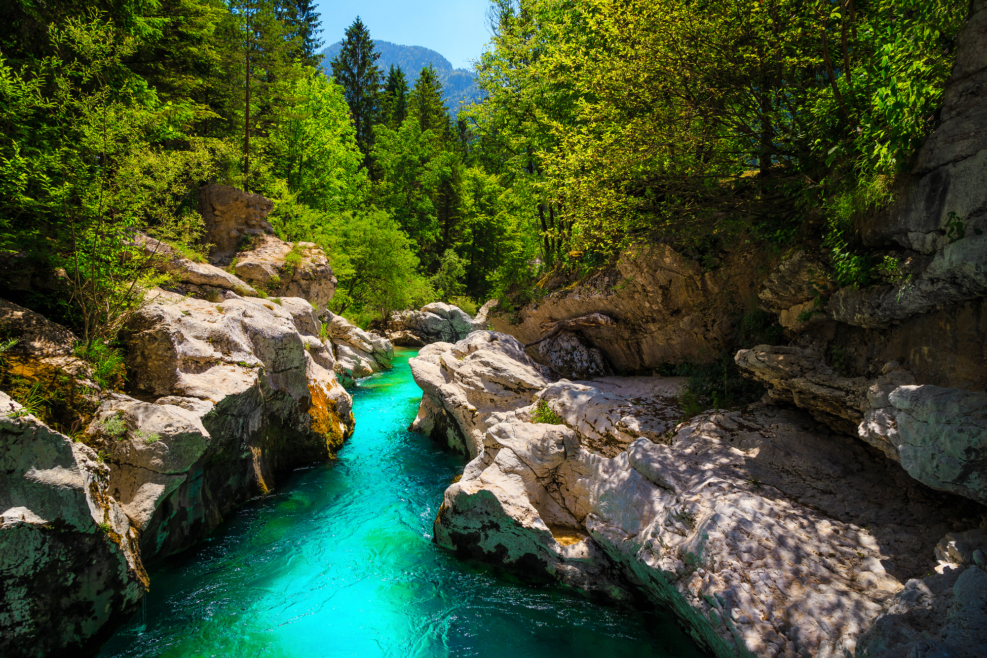 Apartma Bovec je lahko zelo lepa priložnost za oddih